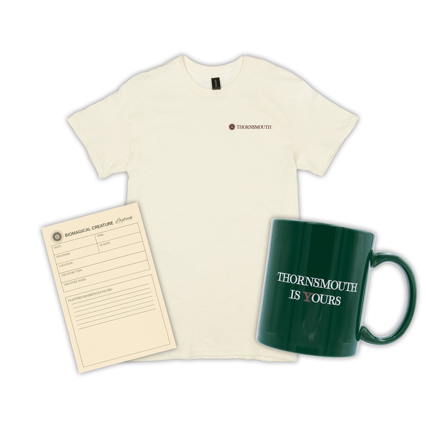bundle image with tshirt green mug and notepad